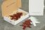Christmas glass ornament tree red - stars