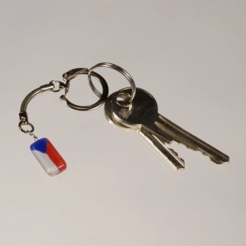 Key ring - WAGA